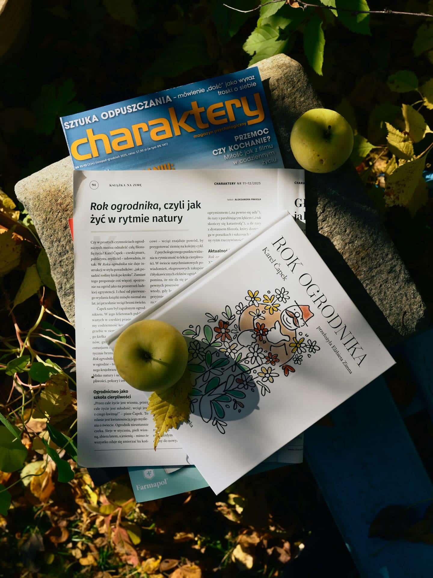 🍎W najnowszym numerze magazynu @charaktery - tekst o „Roku ogrodnika” Karela Čapka!
Czytamy:
🪶„Ogród jawi się tu jako laboratorium życia: to w nim doświadczamy radości i porażek, uczymy się akceptacji tego, czego nie kontrolujemy (pogody, czasu, śmierci), i cieszymy się tym, co wyrosło dzięki naszej pracy. To właśnie ogrodnictwo staje się dla Čapka ćwiczeniem z egzystencjalnej mądrości – umiejętności życia w zgodzie z tym, co od nas zależy, i z tym, czego nie zmienimy (...)
Dziś psychologia coraz częściej mówi o terapii ogrodniczej (hortiterapii). Kontakt z roślinami obniża poziom stresu, wycisza, reguluje emocje. W badaniach wskazuje się, że praca w ziemi aktywuje podobne obszary mózgu jak medytacja. Niektórzy badacze twierdzą nawet, że w glebie znajdują się mikroorganizmy, które wpływają na produkcję serotoniny – hormonu szczęścia.
Čapek pisał o tym intuicyjnie, sto lat temu. Wiedział, że ogród „zakotwicza”, daje poczucie sensu i ciągłości. Kiedy ktoś sadzi roślinę, uczestniczy w procesie większym od siebie. Dla jednych będzie to metafora duchowa, dla innych – po prostu radość z obserwowania, jak rośnie coś żywego(...).
Čapek daje nam nadzieję: nieważne, czy mamy lat dwadzieścia, czy siedemdziesiąt, czy ogród kwitnie, czy akurat więdnie – zawsze jest coś, co można pielęgnować. Nawet jeśli tylko w sobie”.
#books #karelcapek #capek #literatura #charaktery #dowody #czeskaliteratura #rokogrodnika