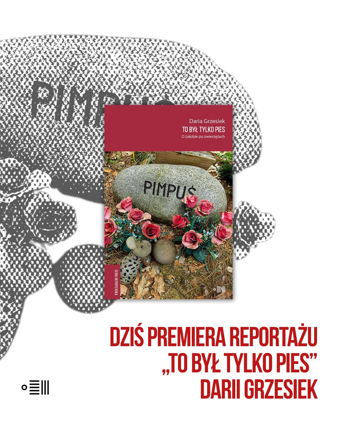 🐾 DZISIEJSZA PREMIERA!
Już dziś wyjątkowa premiera w Dowodach – debiut Darii Grzesiek – „To był tylko pies. O żałobie po zwierzętach”.
To książka o miłości, stracie i bliskości, której nie da się zapomnieć.
O tej książce będzie głośno!
Daria Grzesiek z niezwykłą empatią opowiada historie opiekunów zwierząt – psów, kotów, koni, świnek morskich, żółwi, a nawet słonia – którzy doświadczyli bólu po ich odejściu.
To opowieść o żałobie, ale też o miłości, która trwa dalej.
💛 Zapraszamy na dowody.com i do Wrzenia Świata!
#tobyłtylkopies #reportaż #zwierzęta #dowody #dariagrzesiek #reportaż #nonfiction #books #wydawnictwodowody #premieryjesieni @piesdopary