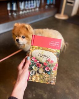 Gdzie poczytacie lub posłuchacie o książce „To był tylko pies” Darii Grzesiek? 🐾

Łapcie naszą nową prasówkę!

🐾 Damian Jankowski, wicenaczelny portalu Więź.pl w czułej rozmowie z Darią - posłuchajcie podcastu Oddech Kultury (link w stories)

🐾 Na łamach OKO PRESS przeczytacie wywiad przeprowadzony przez Katarzynę Kojzar. 

🐾  W TOKFM możecie przeczytać fragment książki. 

A już 5 stycznia usłyszycie Darię w Radiu Nowy Świat!

#dariagrzesiek #tobyłtylkopies @piesdopary #dowody